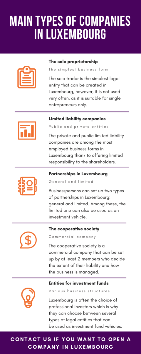 Main_Types_of_Companies_in_Luxembourg.png